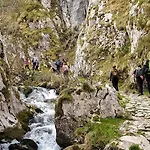 La Gaitona D'aller - Cabanaquinta Апартаменты *