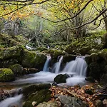La Gaitona D'aller - Cabanaquinta * Aller