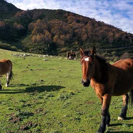 Appartement La Gaitona D'aller - Cabanaquinta *