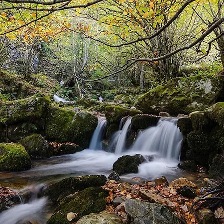 La Gaitona D'aller - Cabanaquinta * Aller